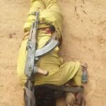 newslite1683026008045