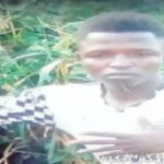 newslite1683026361879