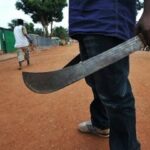 newslite1683152198227