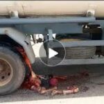 newslite1683392648721