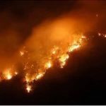 newslite1684233942304