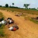 newslite1684622127545