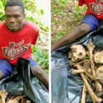 newslite1685307006151