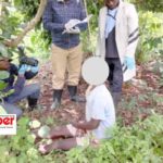 newslite1685307187716