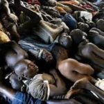 newslite1685307623643