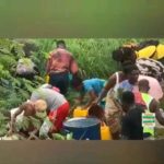 operanews1683921452120