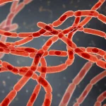 ADCA1E75-4E6B-4892-903F-0C400A3E4A8F