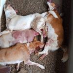 newslite1687554568012