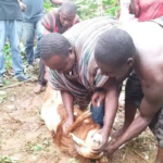 9CA04723-32A7-4AFC-88CE-6E5B1F7906D1