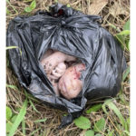 9DE8A601-486B-4D6F-B767-B14BD35B2271