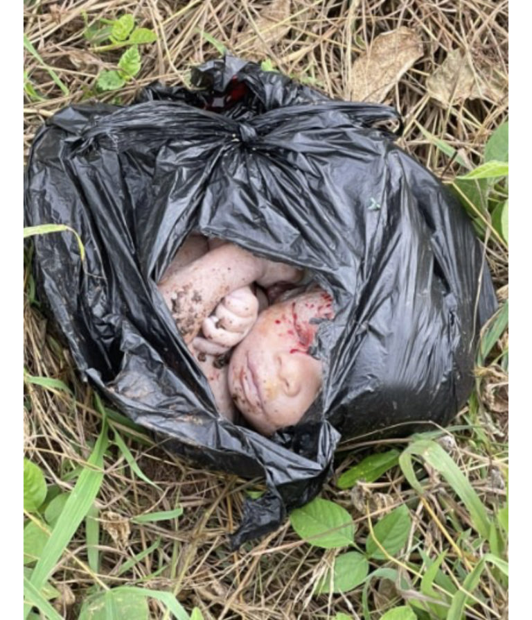 9DE8A601-486B-4D6F-B767-B14BD35B2271