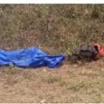 Screenshot_20230816-235002_copy_648x337