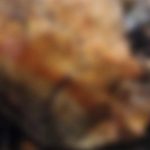 newslite1692228987002