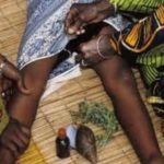 newslite1692229273986