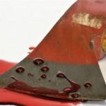 newslite1692229386708