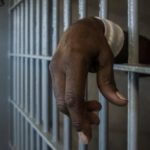 newslite1692232011463