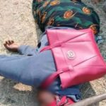 newslite1693220455418