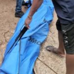 newslite1693518246623