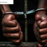 newslite1693523563309