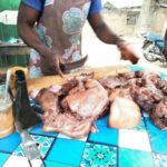 newslite1693670583203