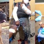 newslite1694557101465