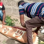 07c3b890c1775b9b27767824860762d6