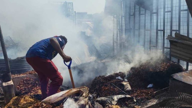 WhatsApp-Image-2024-03-11-at-17.13.36-1