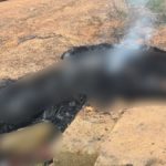 WhatsApp-Image-2024-06-30-at-11.21.05_ad9ccb0e-750x375