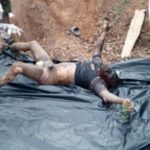 IMG-20240826-WA0329-768x337_copy_691x303