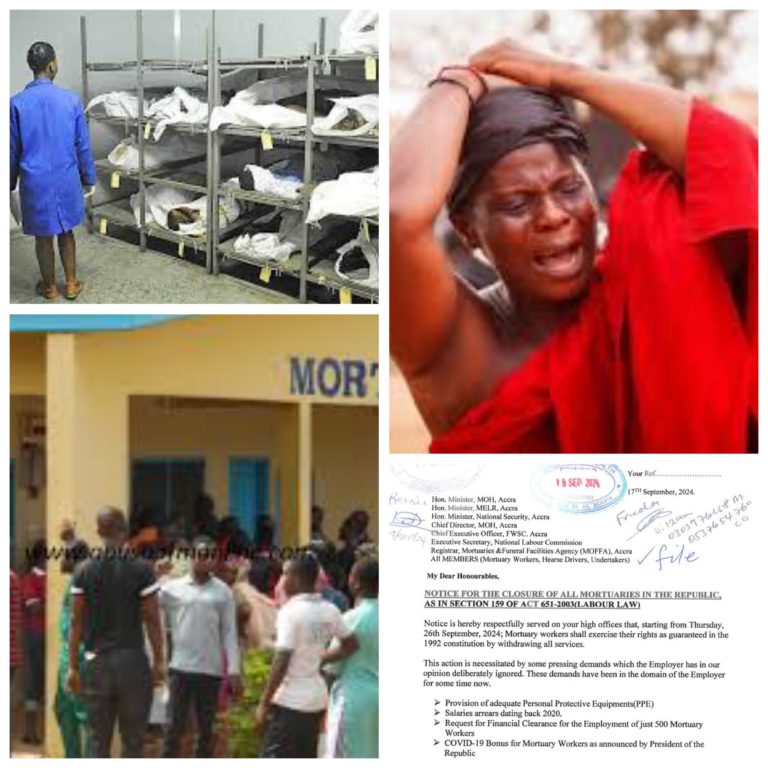 GridArt_20240923_080751055_copy_3686x3686