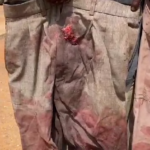 2025-01-15T11_26_27.541040