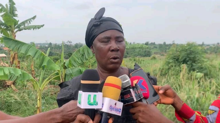 vf_VID-20250412-WA0095_48000