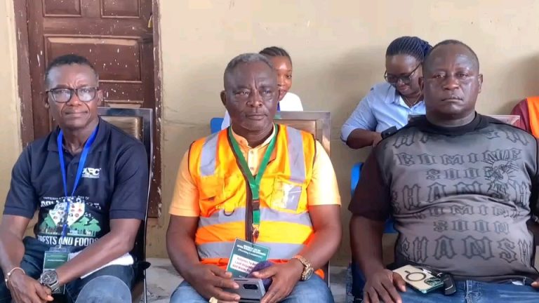 vf_VN20250410_070536_4000