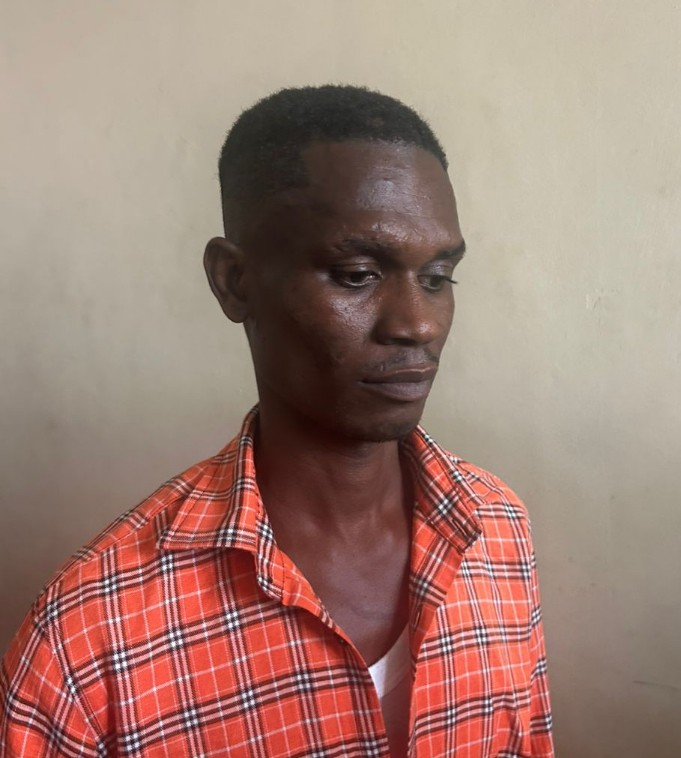 IMG-20250515-WA0489_copy_681x758