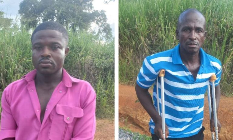 GridArt_20250623_175642551-780x470