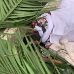 6fe9b469-9f6d-43d5-9d14-5163da28b363-1