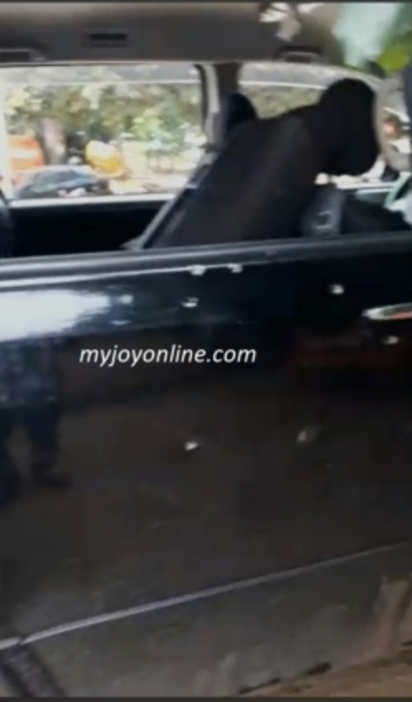 Denase-shooting-249x424-1