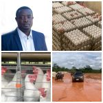 GridArt_20250701_232745487_copy_3072x3072