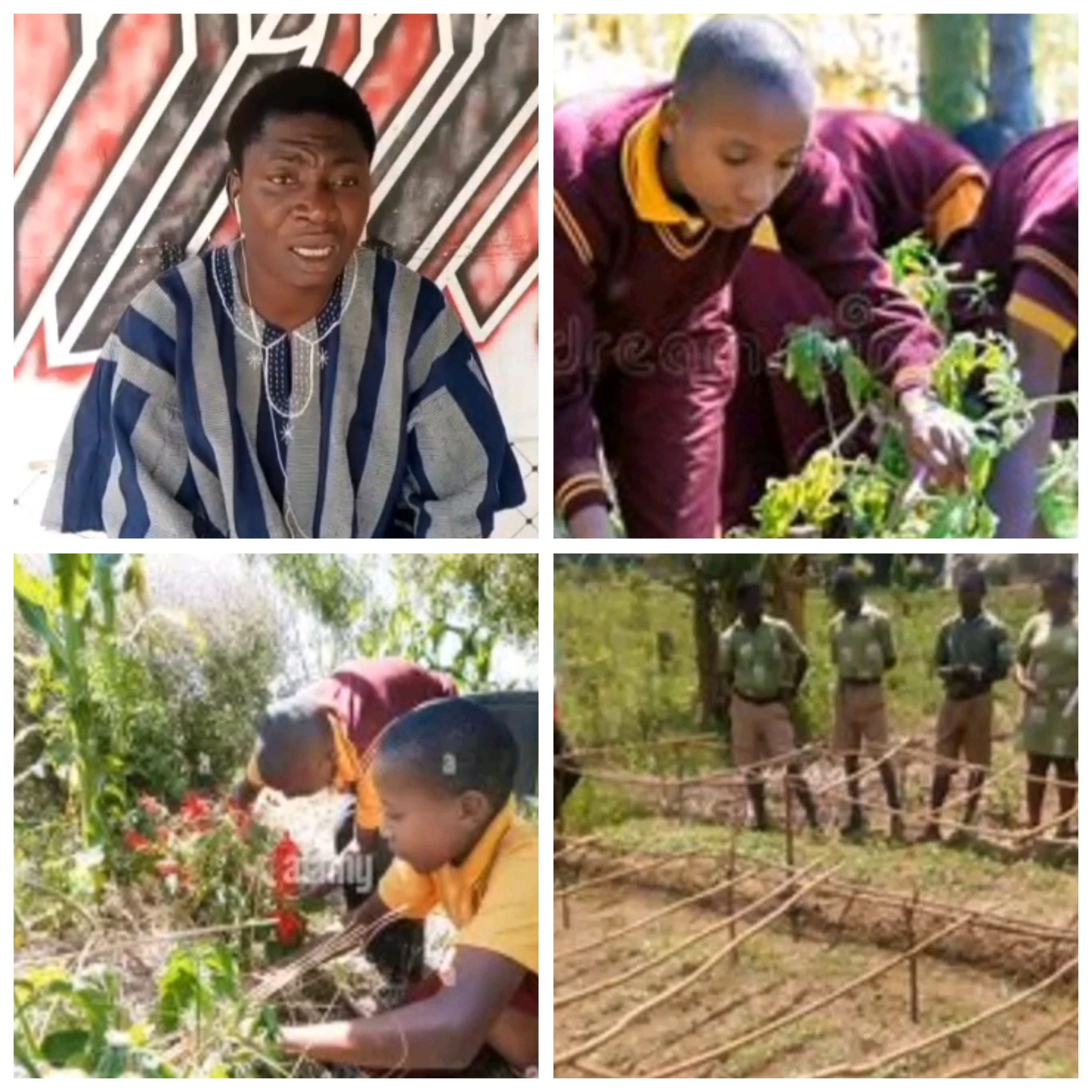 GridArt_20250704_105143010_copy_4096x4096