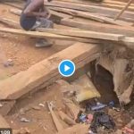 Screenshot_20250805-145452