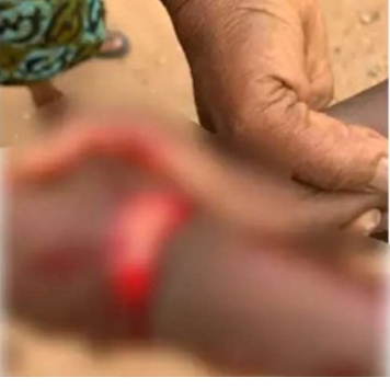 Screenshot_20250805-191414