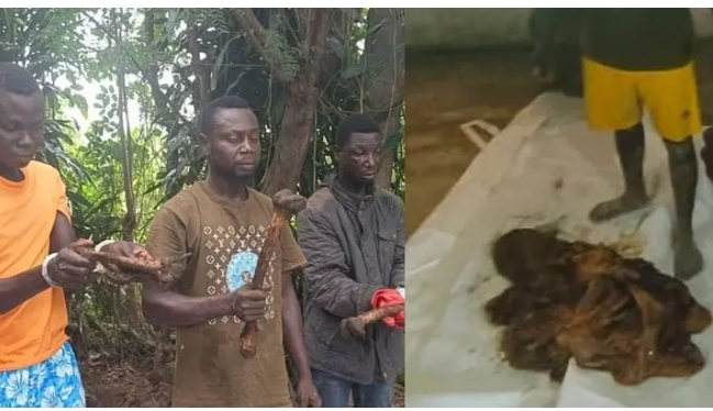 Screenshot_20250809-091402