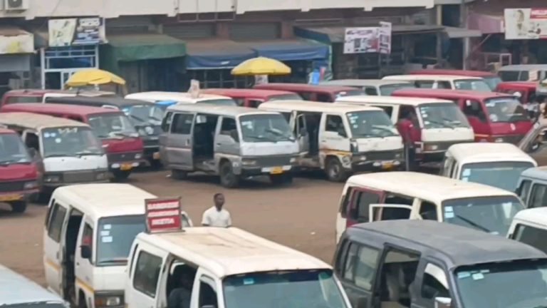 vf_VID-20250826-WA0185_0