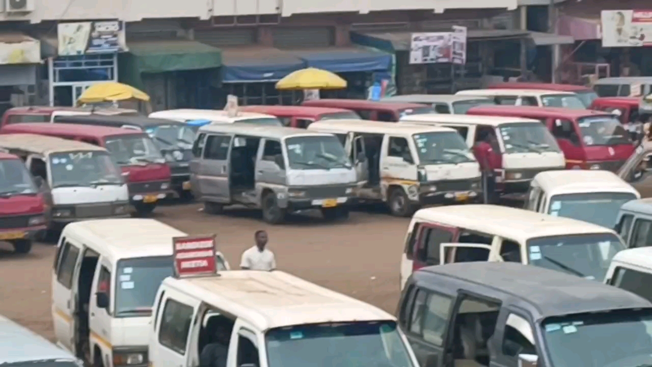 vf_VID-20250826-WA0185_0