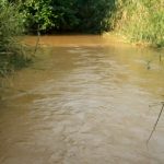 vf_VN20250731_162757_4000_copy_1440x810