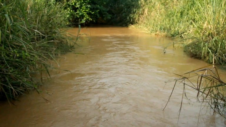 vf_VN20250731_162757_4000_copy_1440x810