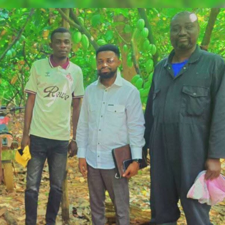 CollageOrchid_1757868873605-768x768