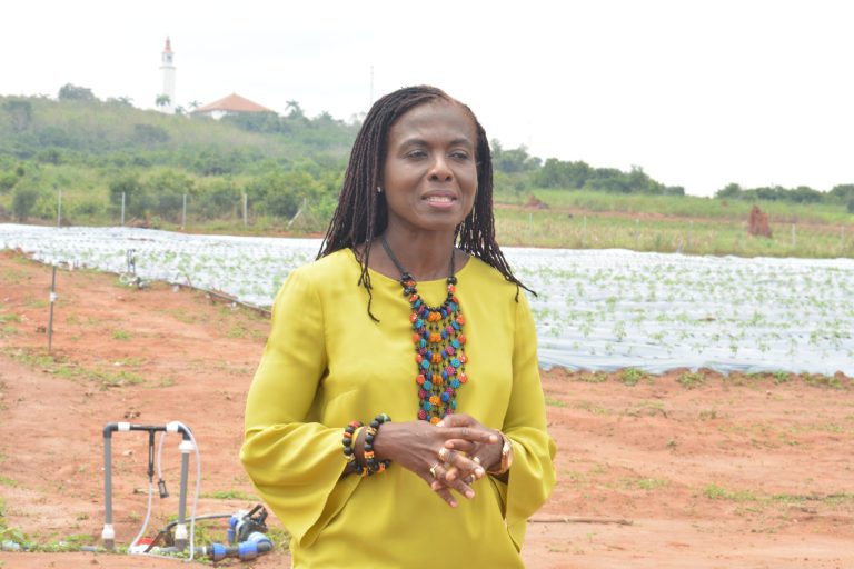 Adwoa Wiafe, Chief Corporate Services and Sustainability Officer of MTN Ghana (1)