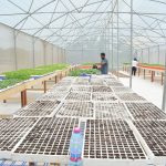 Inside the greenhouse, guests observe the seedling nursery process and the stages of plant development