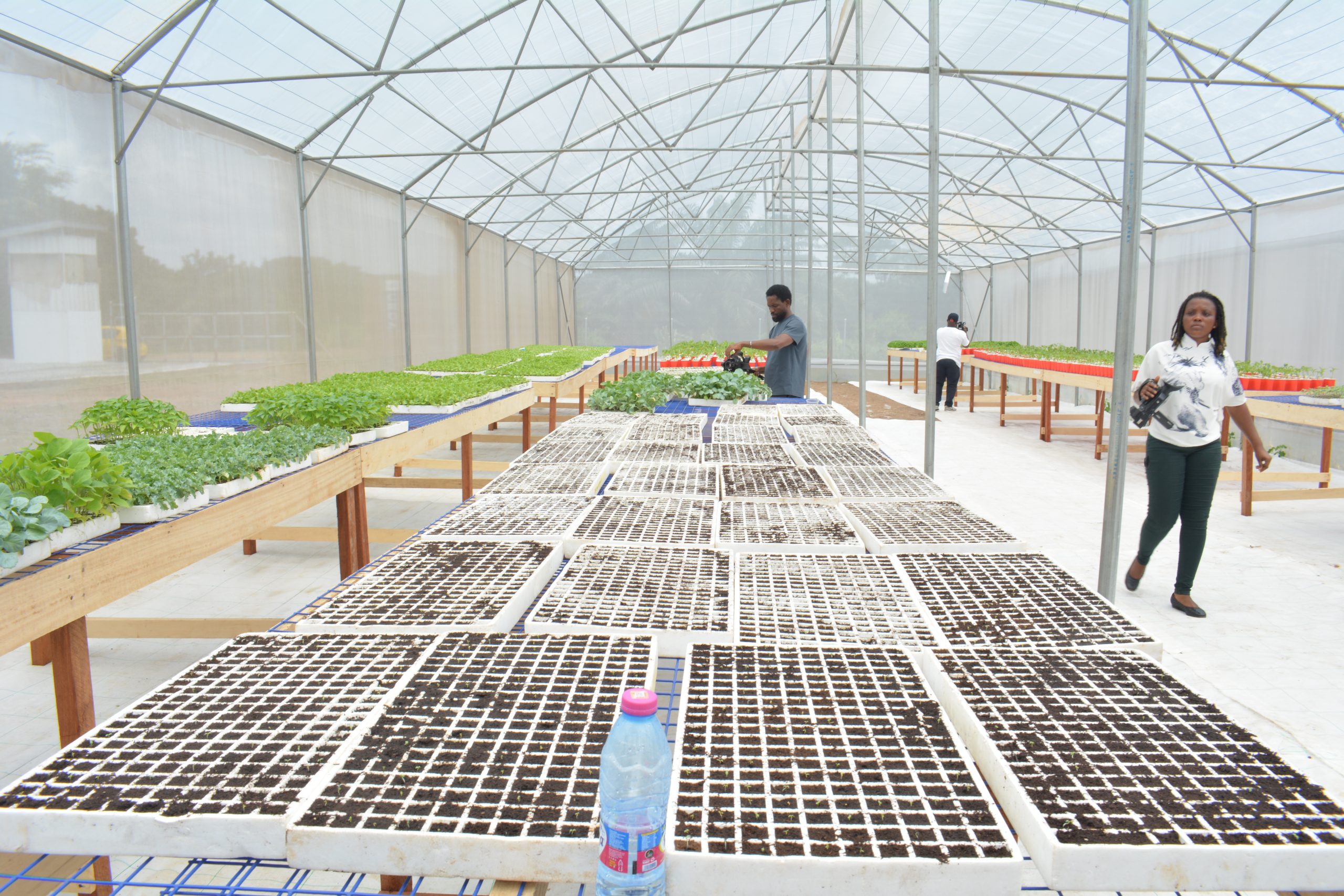 Inside the greenhouse, guests observe the seedling nursery process and the stages of plant development